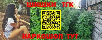 спиды Новодвинск