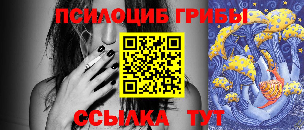 Псилоцибиновые грибы мицелий  Вход с VPN  Татарск 