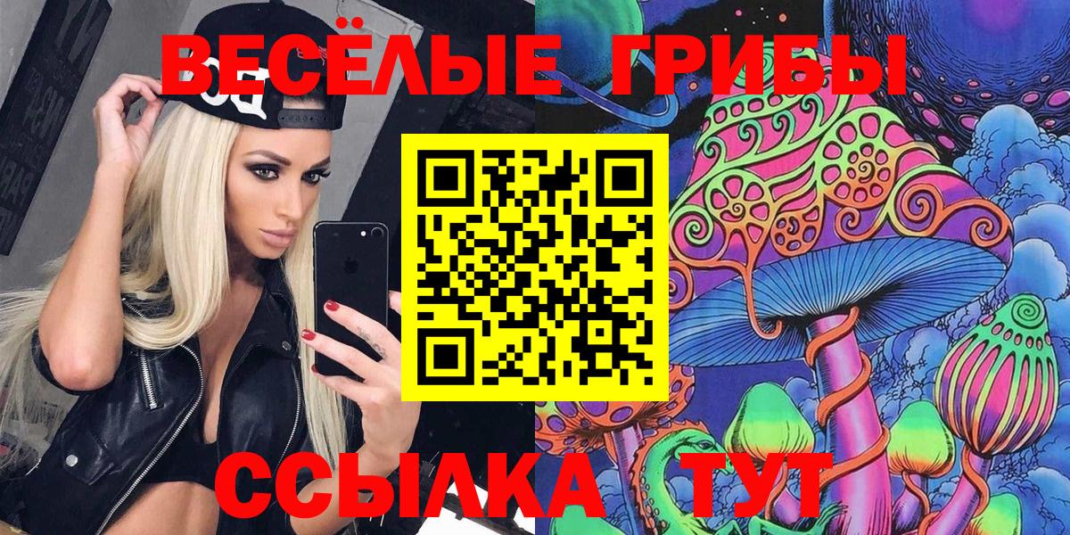 Галлюциногенные грибы Psilocybe Татарск